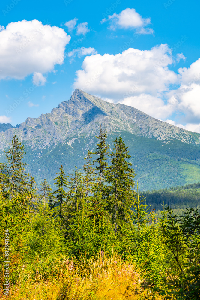 A sunny day view of Krivan, capturing its rugged peak against a blue sky with white clouds, surrounded by lush greenery. High Tatras, Slovakia