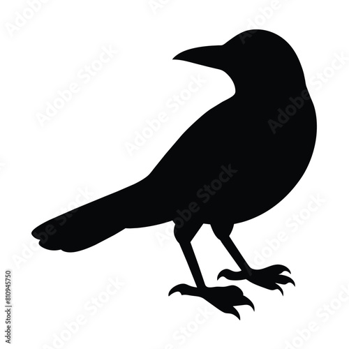 silhouette of a animal grackle bird photo