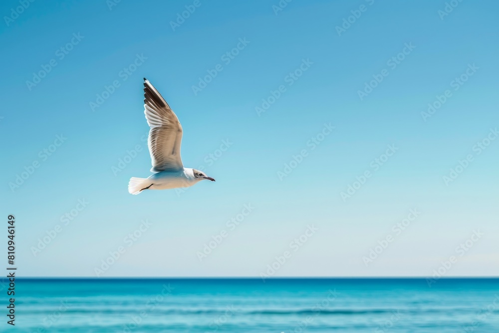 Seagull Flying Over the Ocean on a Sunny Day