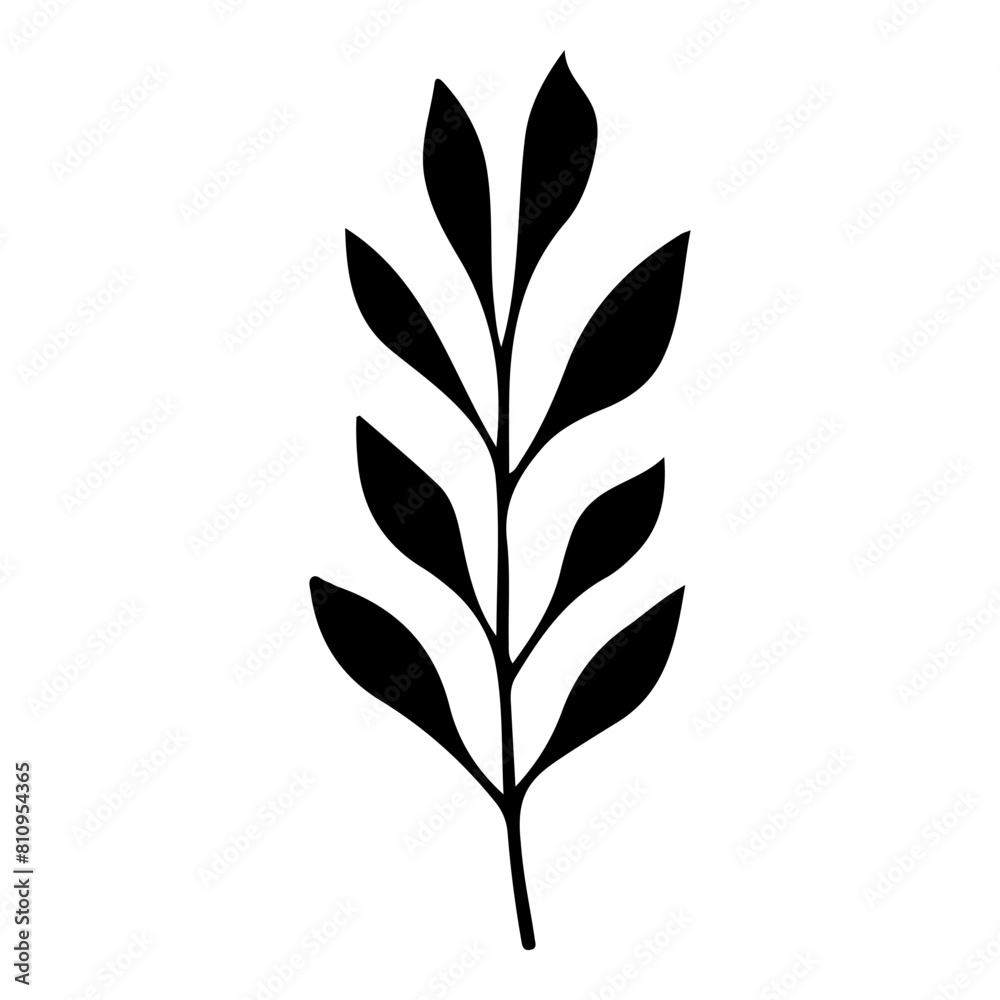 Sketch of hawthorn leaf. Vector illustration. Black and white. Sketch of hawthorn leaf. Vector illustration. Black and white.