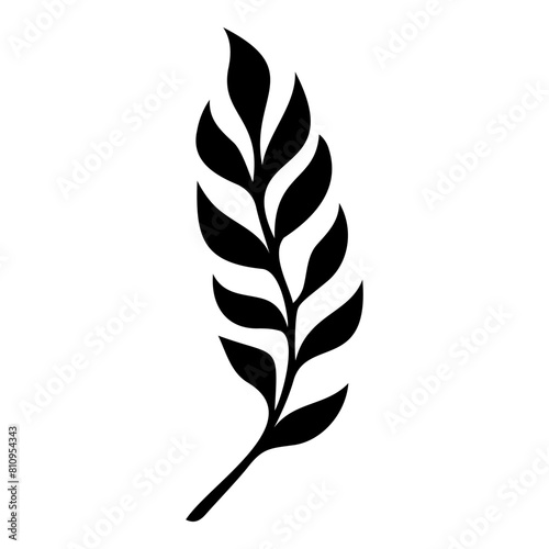 Sketch of crack willow leaf. Vector illustration. Black and white.