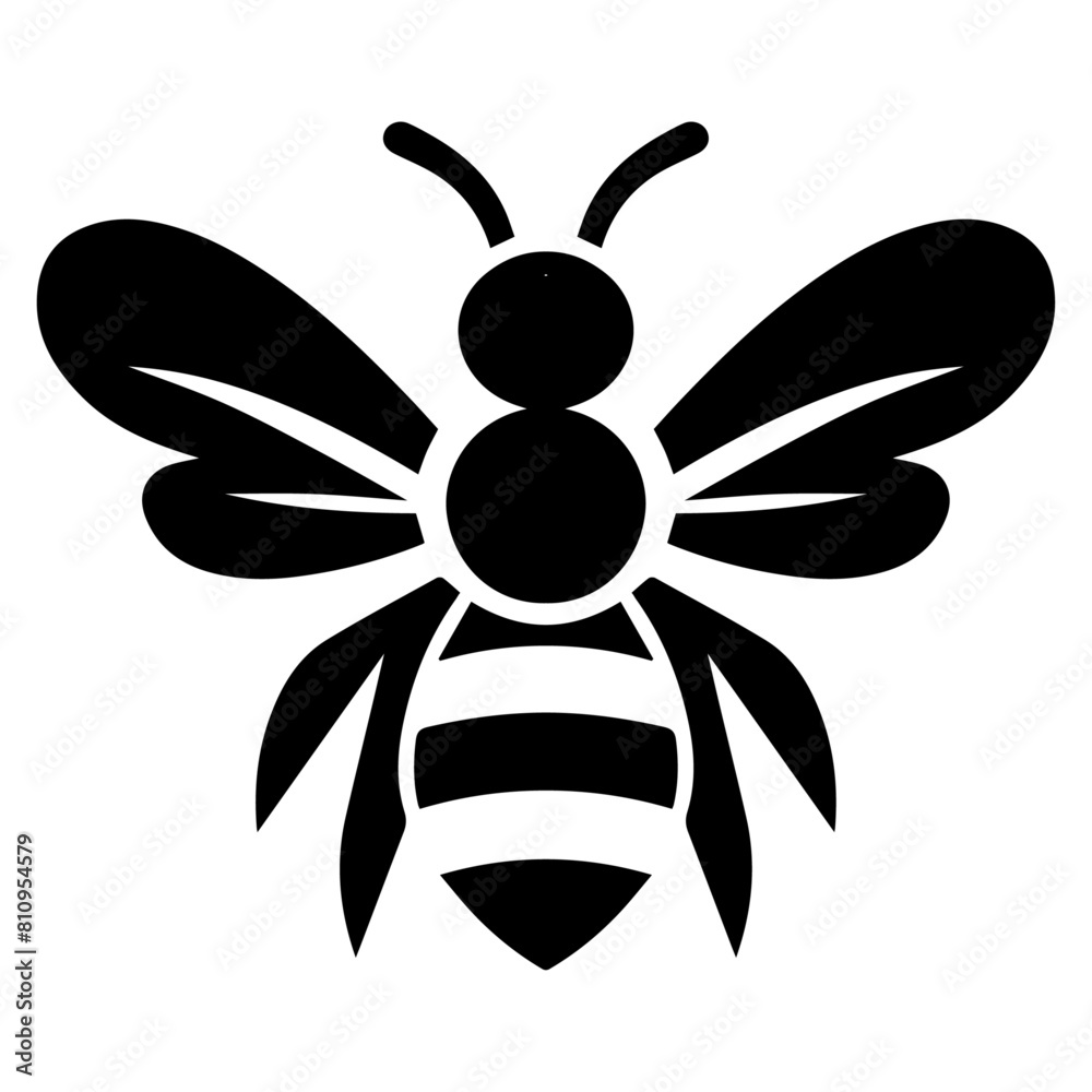 bee 7 bee 7
