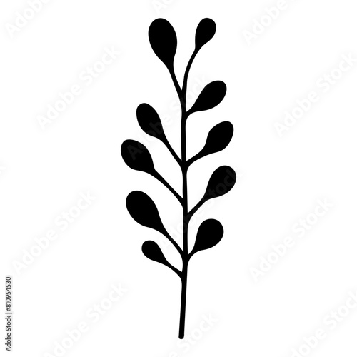 Hand drawn leaf of plum tree. Vector illustration.