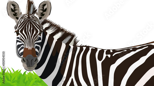   A zoomed-in image of a single zebra amidst a sea of green grass  while another zebra gazes directly towards the lens