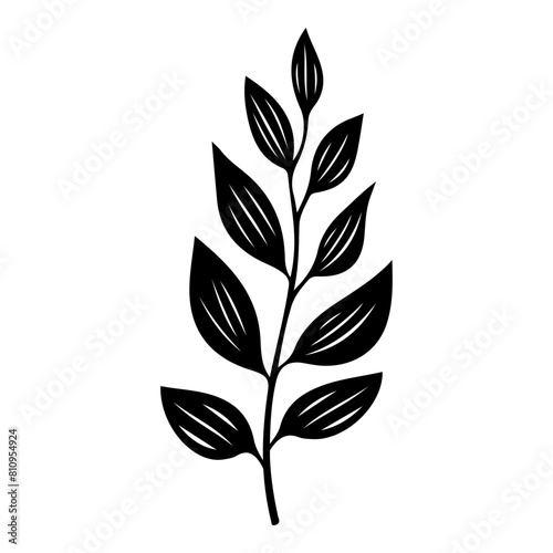 Hand drawn leaf of blackberry. Vector illustration.