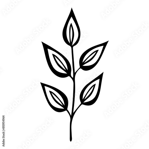 Hand drawn leaf of buckeye tree. Vector illustration.