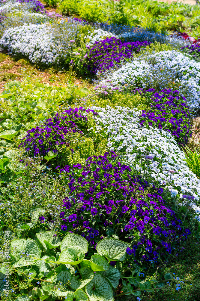 Obraz premium Colorful flowerbeds in a garden or park