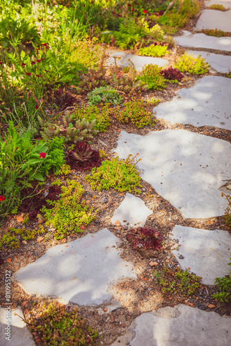 Detail of garden path with stone slabs with gravel, succulents  and native plants. Landscaping and gardening concept