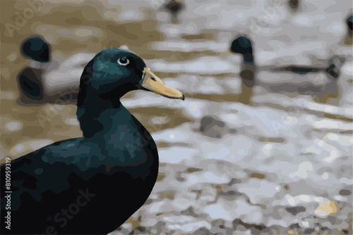 pato en el lago