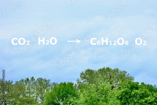 Reaktionsgleichung der Photosynthese vor bewölktem Himmel über Wald und Bäumen photo
