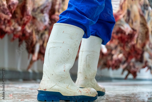 Close up of a worker's white rubber boots among the hooked cattle carcasses in the giant refrigerator at the slaughterhouse.
