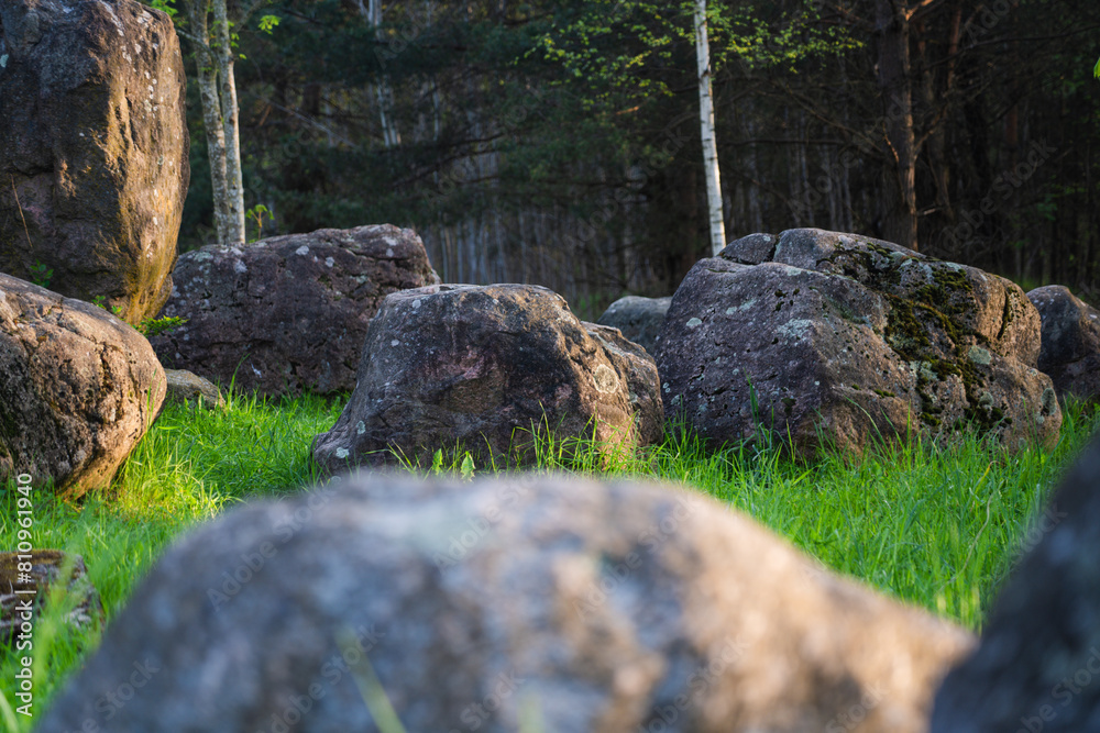 Many large boulders are collected in the forest park of stones Many large boulders are collected in the forest park of stones