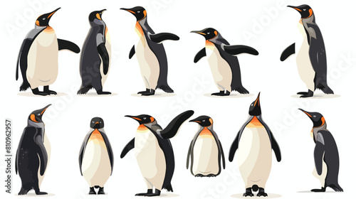 penguin icon different poses vector set Vector style