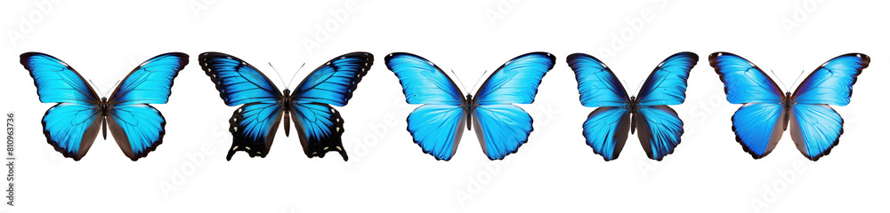 Blue butterfly png cut out element set Blue butterfly png cut out element set