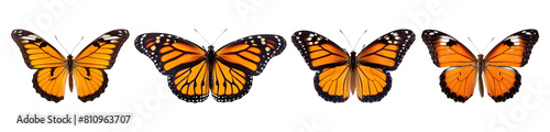 Butterfly png cut out element set