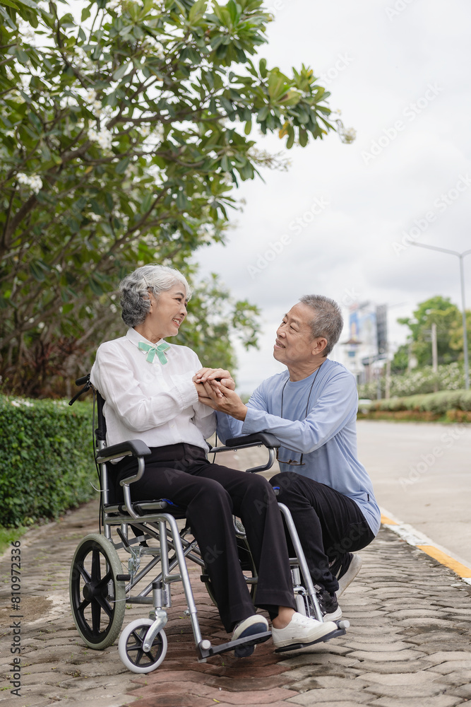 Happy Asian senior couple walking together on a tropical forest path Retired old man and woman having fun and enjoying outdoor travel activities. Vertical image Happy Asian senior couple walking together on a tropical forest path Retired old man and woman having fun and enjoying outdoor travel activities. Vertical image