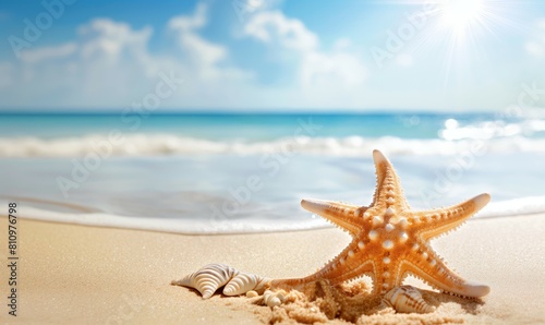 starfish on the beach