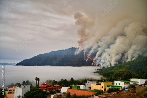 Forest fire near the coast with settlements photo