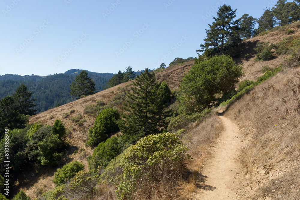 view on the hiking path near the Muir Woods valley at the top of the mountain at the coast in california