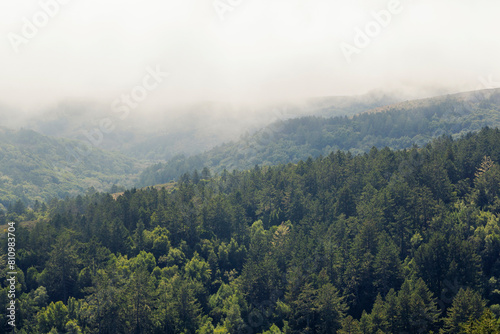 view on the hiking path near the Muir Woods valley at the top of the mountain at the coast in california
