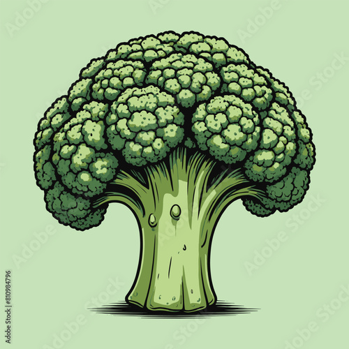 Healthy broccoli vegetable realistic illustration of fresh broccoli vector illustration