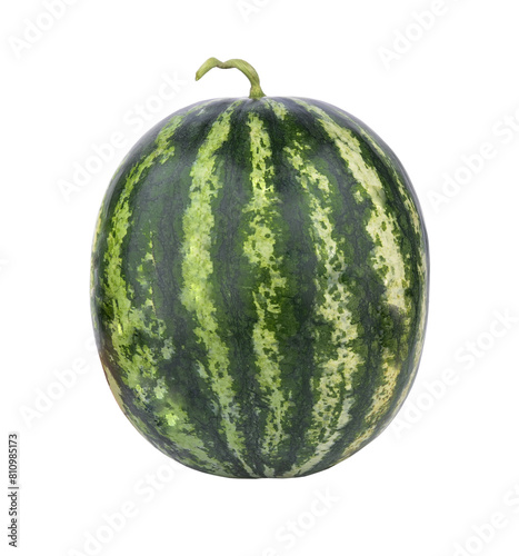 green watermelon on transparent png