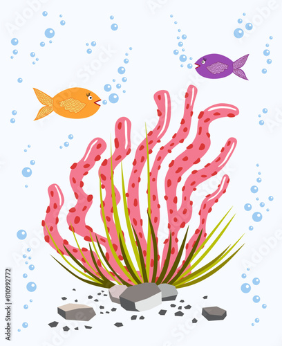 Pink seaweed. Two fishes and stones. Vector graphics. Underwater life