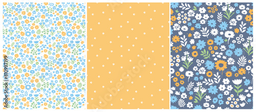 Blue and Yellow Ditsy Floral Print. Seamless Pattern with Hand Drawn Flowers. Infantile Style Print with Abstract Garden. Floral Wallpaper.Tiny Flowers Isolated on a White, Yellow and Blue Background.
