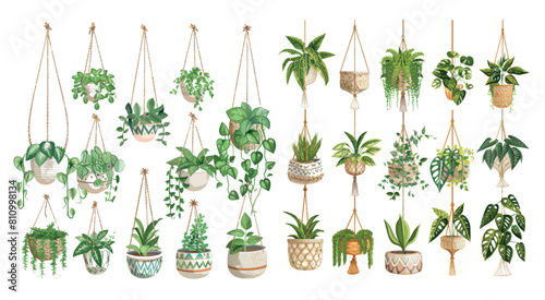 Modern illustration set of hanging potted plants, macrame flower pots, decorative indoor plants, hand-made hangers for flowers.