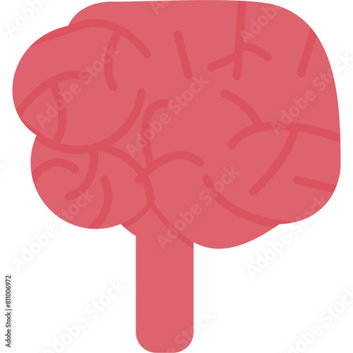Cerebellum Icon