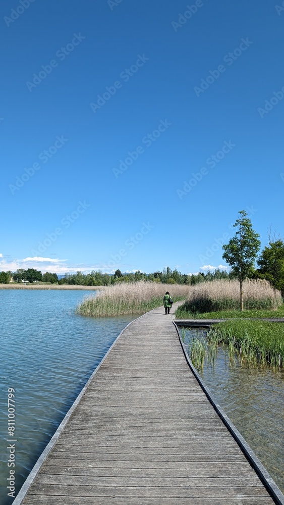 Naklejka premium MONTEUX (Vaucluse)