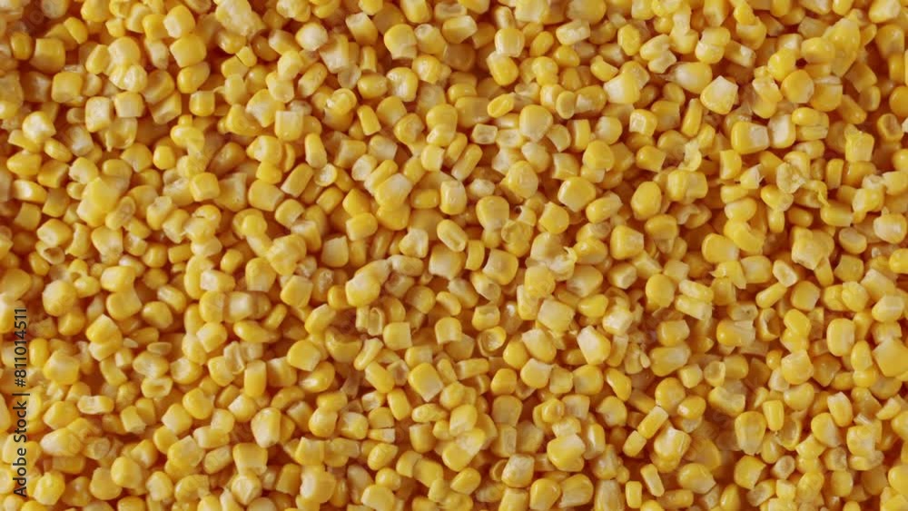 A man hand putting corn kernels on the surface. Top view of a surface filled with many ripe corn kernels. zoom and slow motion. Fresh corn kernels on yellow textured surface. A man hand putting corn kernels on the surface. Top view of a surface filled with many ripe corn kernels. zoom and slow motion. Fresh corn kernels on yellow textured surface.