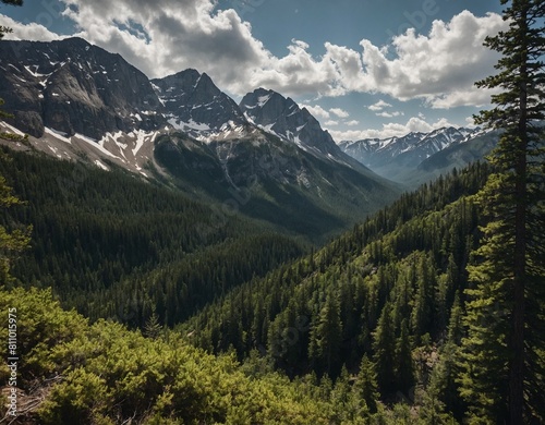 Experience the majesty of the forest with our image of towering pines and rugged mountains, a breathtaking vista that stretches as far as the eye can see