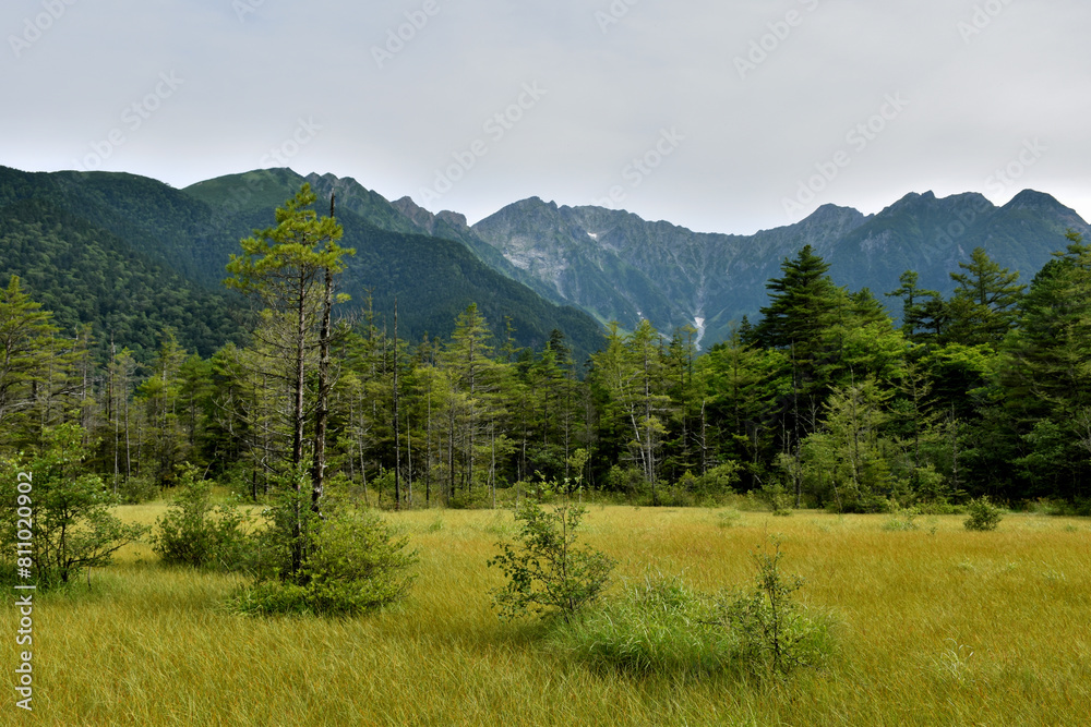 田代湿原の先にそびえる穂高の山々