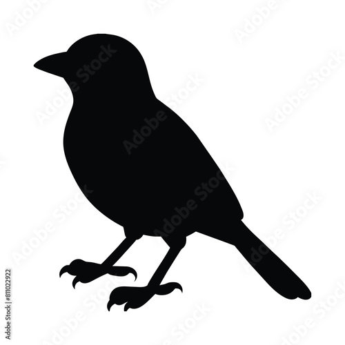 silhouette of a animal oriole bird