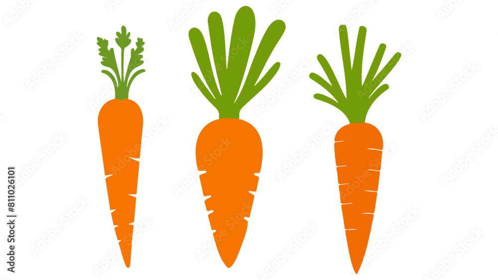 set of carrots in vector set of carrots in vector