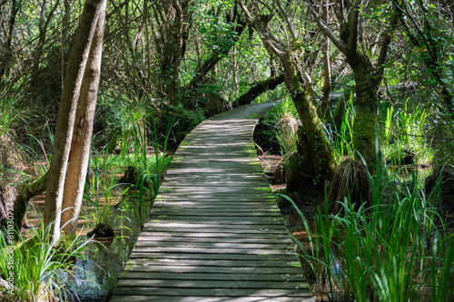 black pond in seignosse in france