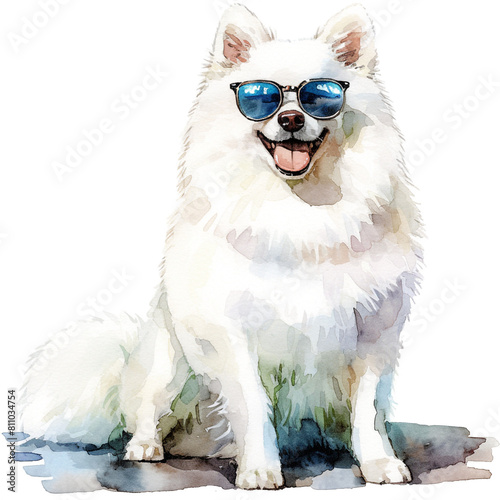 Smiling American Eskimo Dog With Sun Glasses In