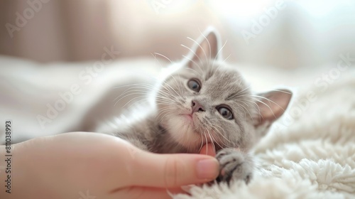A cute gray kitten is lying on a white blanket. The kitten is looking at the camera with its big green eyes. A person's hand is petting the kitten.