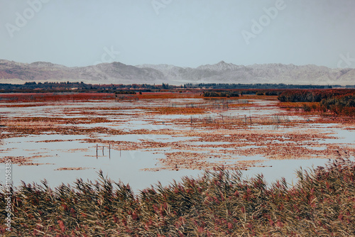 2013-08-22: view of the Lotus Lake  in the Xinjiang Ku'erle Lotus Lake Tourist Area in Xinjiang, China