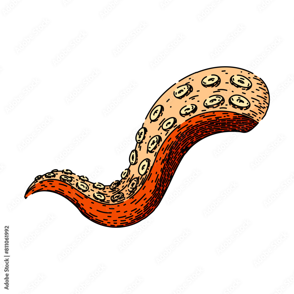 monster octopus kraken tentacle hand drawn. squid sea, tattoo art ...