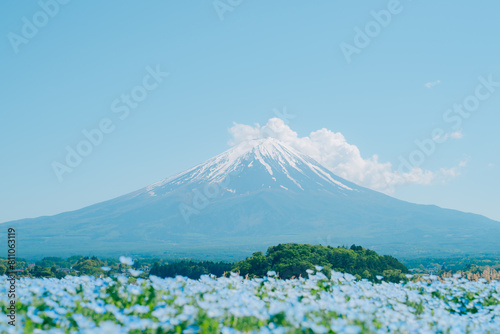 富士山とネモフィラ