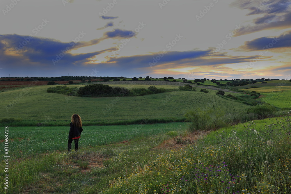 FIELD WITH TREES AND FLOWERS AT SUNSET AND A WOMAN OBSERVING THE LANDSCAPE