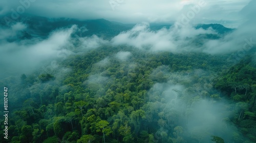 Immerse yourself in the breathtaking aerial perspective of a lush dark green forest blanketed by misty clouds Explore the vibrant ecosystem of the rainforest embodying the essence of natura