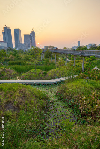 Skyscrapers and other modern buildings behind the lush Benjakitti Forest Park in Bangkok, Thailand at sunset.