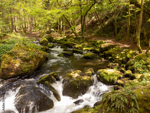 Mountain river flowing inside mysterious forest  Vogtland Triebtal