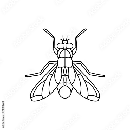 fly insect outline icon.fly line art vector illustration. Doodle line graphic design. Black and white drawing insect.