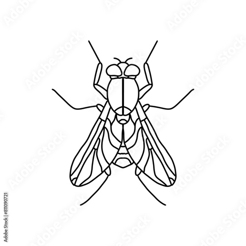 fly insect outline icon.fly line art vector illustration. Doodle line graphic design. Black and white drawing insect.