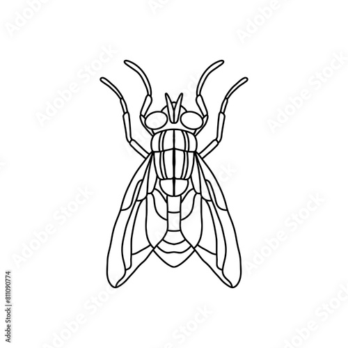 fly insect outline icon.fly line art vector illustration. Doodle line graphic design. Black and white drawing insect.