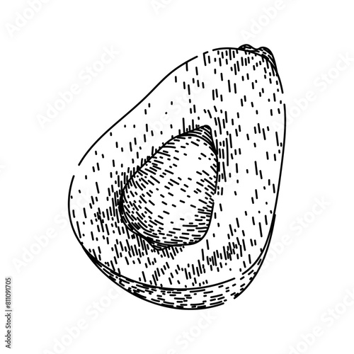 snake salak fuit hand drawn. salacca fresh, skin top, sala tropical snake salak fuit vector sketch. isolated black illustration